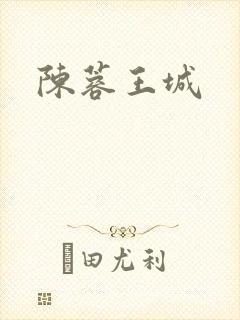 陈蓉王城封面
