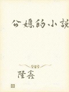 公媳的小说封面