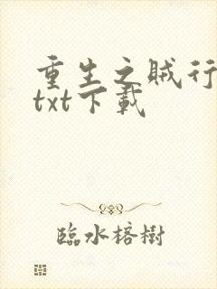 重生之贼行天下txt下载