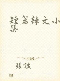 短篇辣文小说合集