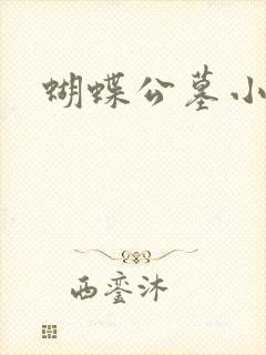 蝴蝶公墓小说