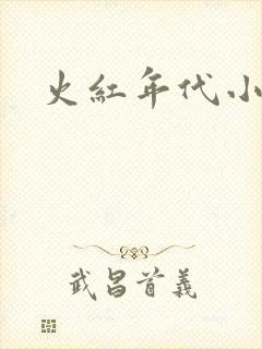 火红年代小说