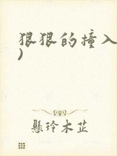 狠狠的撞入(h)
