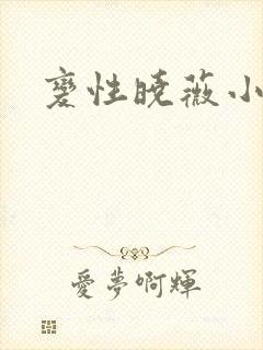 变性晓薇小说