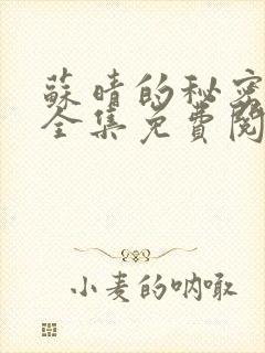 苏晴的秘密小说全集免费阅读笔趣阁大结局