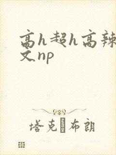 高h超h高辣h文np