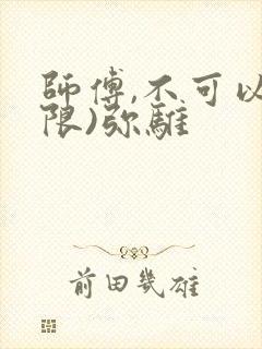 师傅,不可以(限)弥骓封面