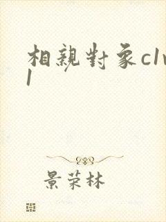 相亲对象c1v1