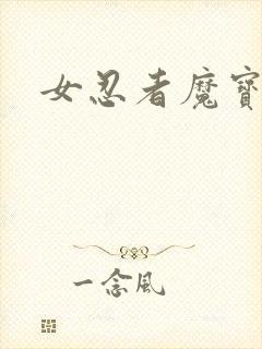 女忍者魔宝传封面