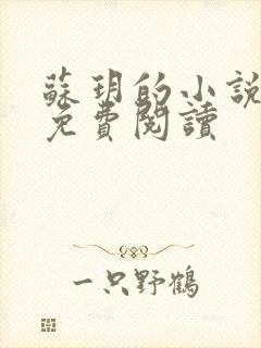 苏玥的小说全文免费阅读