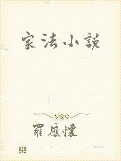 家法小说封面