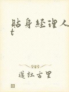 贴身经理人txt封面