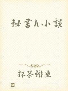 秘书h小说