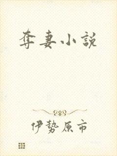 夺妻小说