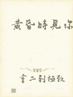 黄昏时见你封面