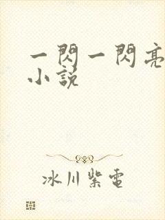 一闪一闪亮星星小说