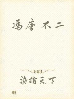冯唐 不二封面