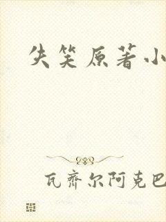 失笑原著小说