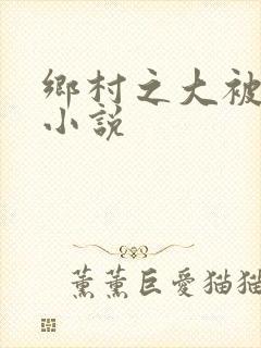 乡村之大被同眠小说