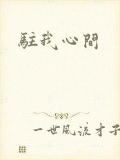 驻我心间封面
