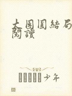 大团圆结局全文阅读封面