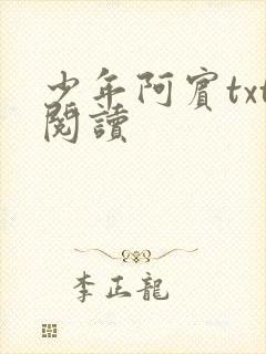 少年阿宾txt阅读