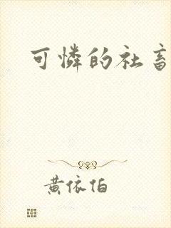 可怜的社畜分手封面