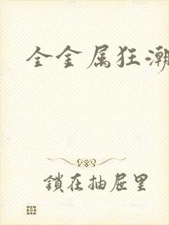 全金属狂潮小说