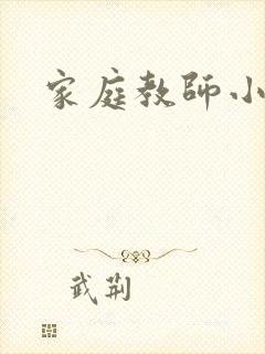 家庭教师小说