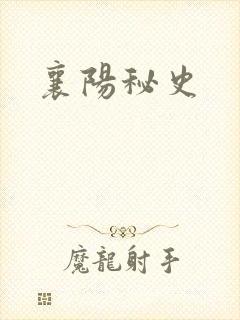 襄阳秘史