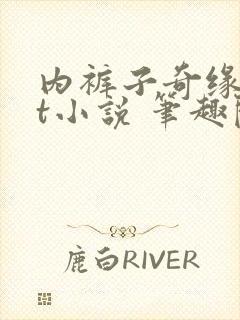 内裤子奇缘txt小说 笔趣阁