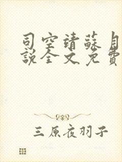 司空靖苏月汐小说全文免费阅读