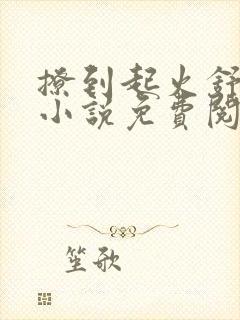 撩到起火舒漾的小说免费阅读全文封面