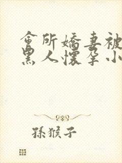 会所娇妻被多个黑人怀孕小说封面