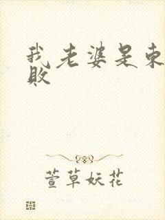 我老婆是东方不败封面