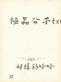 极品公子txt
