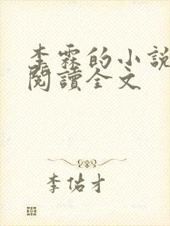 李霖的小说免费阅读全文封面