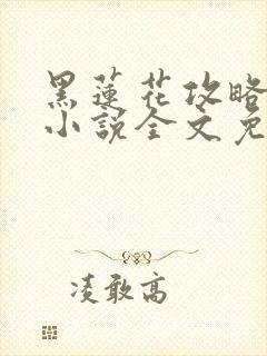 黑莲花攻略手册小说全文免费阅读笔趣阁封面