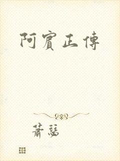 阿宾正传