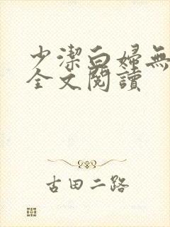 少洁白妇无删减全文阅读