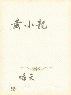 黄小龙封面