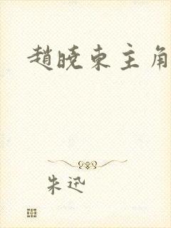 赵晓东主角小说封面