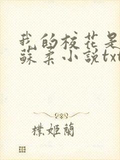 我的校花是福姬苏柔小说txt