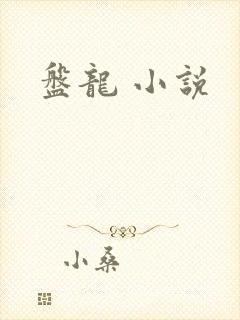盘龙 小说