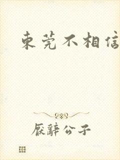东莞不相信眼泪封面