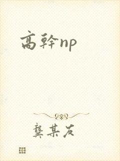 高干np封面
