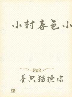 小村春色小说