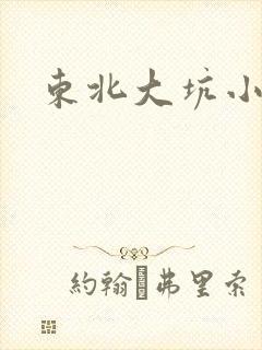 东北大坑小说