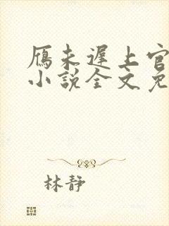 雁未迟上官穿越小说全文免费阅读封面