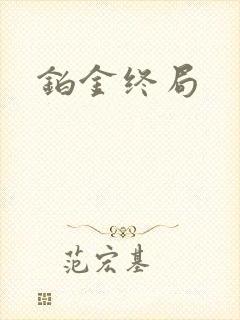 铂金终局